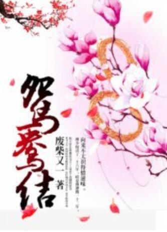 鸳鸯结第3集