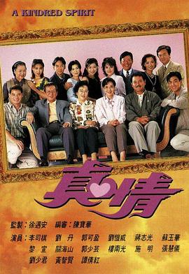 真情国语第390集